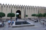 PICTURES/Cordoba - Street Scenes/t_City Wall Moat 7.JPG